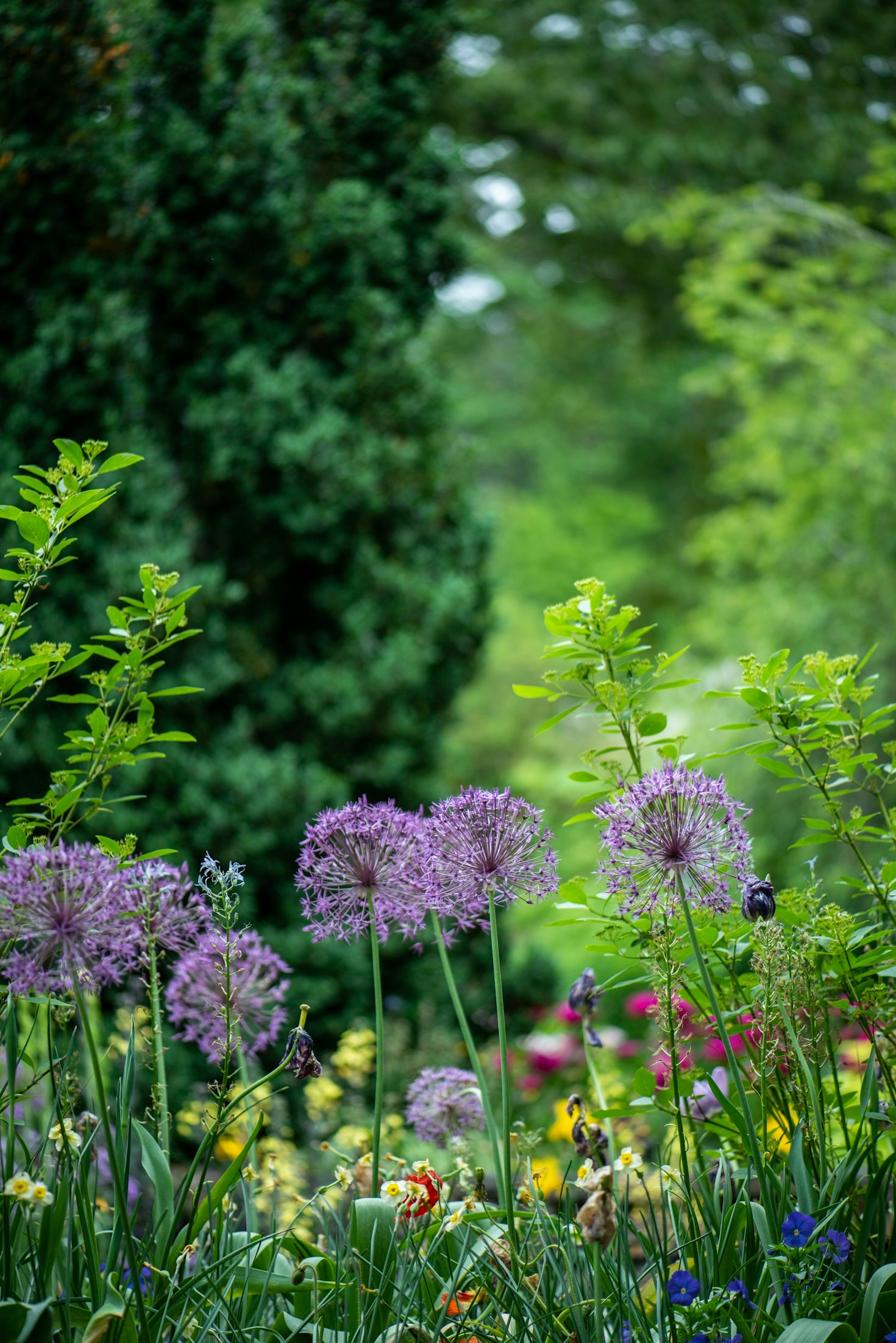 The Benefits of Water-Efficient Gardening