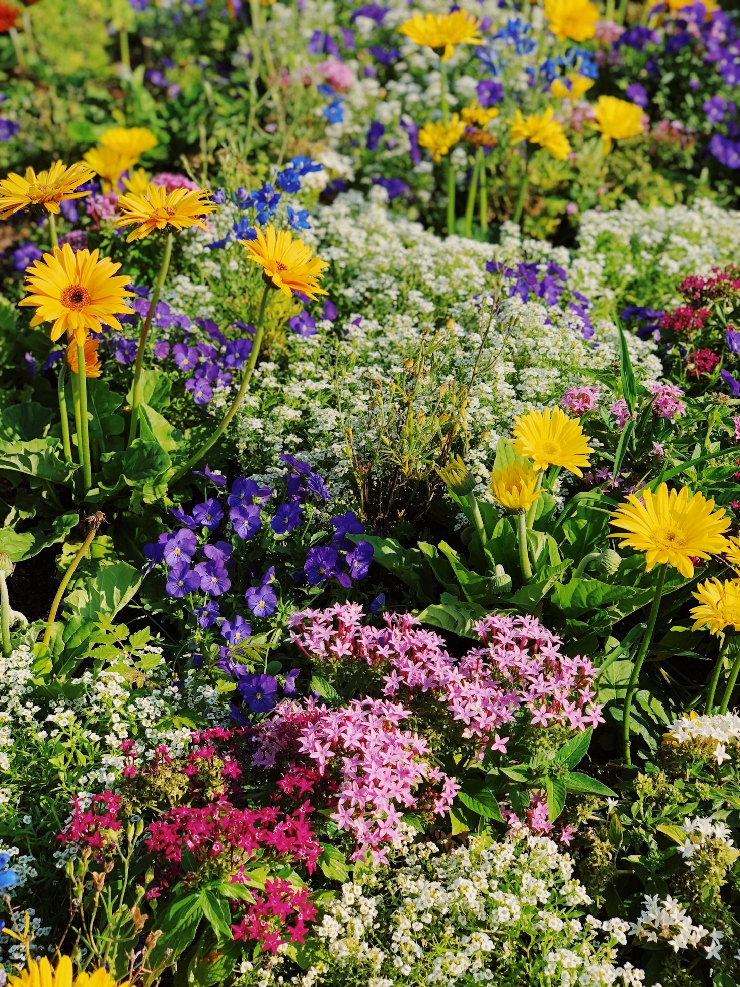 Personalized Garden Care: Why It Matters